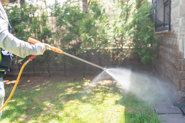 Lawn Pest Control in Arbutus, MD